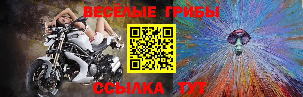 Псилоцибиновые грибы GOLDEN TEACHER Нижний Тагил