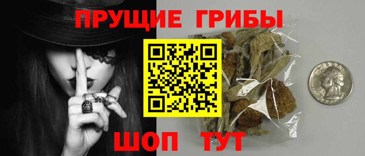 Нижний Тагил  Галлюциногенные грибы мицелий  Вход с VPN 